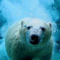 ๋ (@gibmelov) 's Twitter Profile Photo ๋ (@gibmelov) 's Twitter Profile Photo