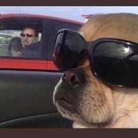 Jaden (@andersonjaden3) 's Twitter Profile Photo