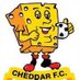 Cheddar FC (@CheddarFC1892) Twitter profile photo