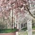Penn Religious Studies (@upennrels) Twitter profile photo Penn Religious Studies (@upennrels) Twitter profile photo