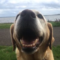 McDoogs (@doogs8401) 's Twitter Profile Photo McDoogs (@doogs8401) 's Twitter Profile Photo