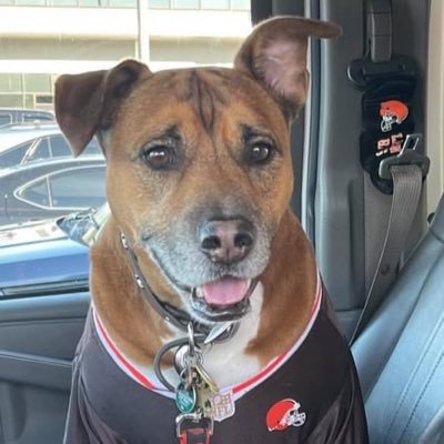 Boneman20117513's profile picture. No Bandwagons!