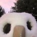 Alcott PTA (@alcott_pta) Twitter profile photo Alcott PTA (@alcott_pta) Twitter profile photo