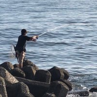 ぽんた (@ponta_2020) 's Twitter Profile