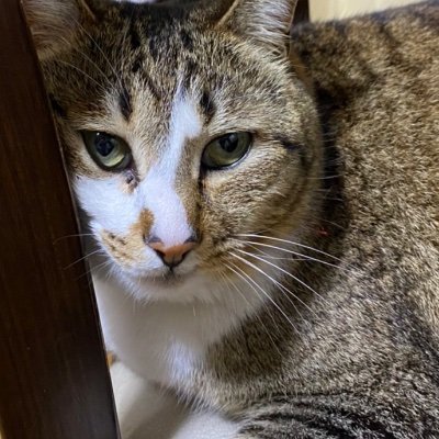 OpmlFlabsGz5LQf's profile picture. 