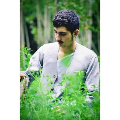 RabiullahAhmadi Profile Picture