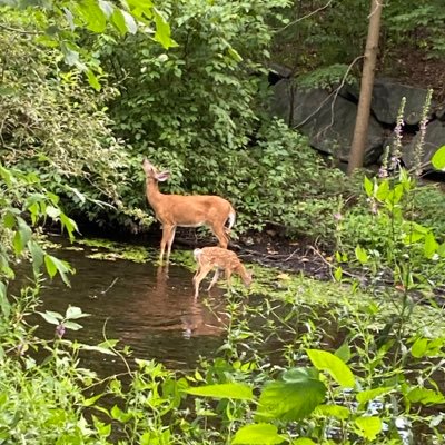 daiana_yanneth's profile picture. Mi Fe en Dios y el amor por todo lo que el creo