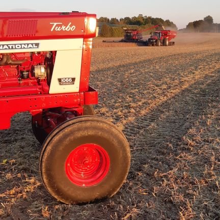 Ridgetown Westag Alumni,  Class of 2012.
Cash Crop Farmer - Troy Valley Farms 
Tweets and Views are MY OWN and align with my employer !