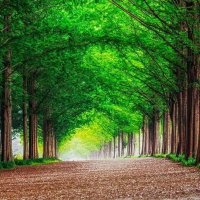 Abdullah Salim (@abdulla20234424) 's Twitter Profile