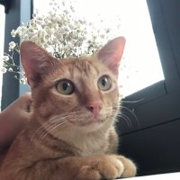 NgAnn (@nganvo160497) 's Twitter Profile