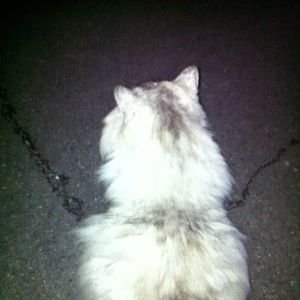 推し活しているアカウント
※ヤリモクの方はお断りしております