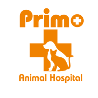プリモ動物病院グループ採用公式 (@primosaiyo) Twitter profile photo