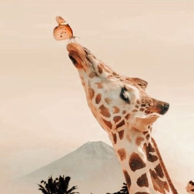 Riya66001189's profile picture. Just have fun