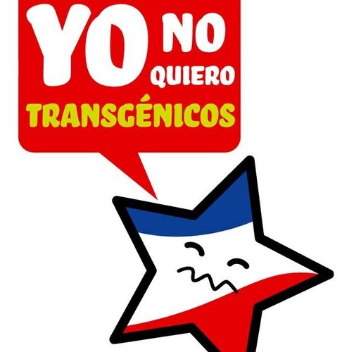 YNQTransgénicos