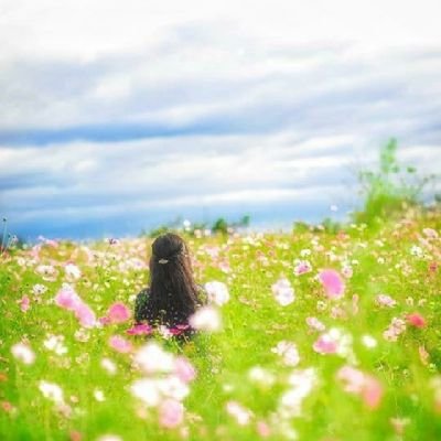ふりこさんのプロフィール画像