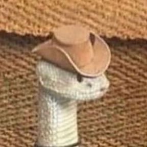 reggie_aguirre's profile picture. age-18