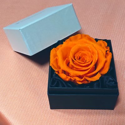 suzu528's profile picture. 2D,3D,夢から腐まで好きな事を好きなだけ/30⤴︎︎︎♀/刀/じゅ/歌仙,鶴丸,則宗,青江/夏,五夏五/書庫@szng_lin/予定→11/23:ｽﾊﾟﾐｭ(福岡)、1/9,10,12:刀ﾐｭ(福岡)