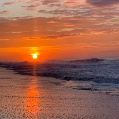 luz_vigil's profile picture. 