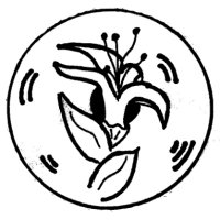 Honeysuckle Records (U.S.) (@honeysucklerecs) Twitter profile photo