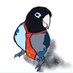 Lovebird92o (@lovebird92o) Twitter profile photo Lovebird92o (@lovebird92o) Twitter profile photo