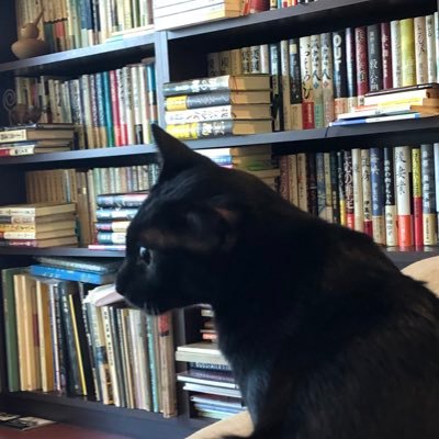 domowako's profile picture. ピアノと短歌をやっています。隻眼の黒猫、元野良の福ちゃんとの一人と一匹暮らし。短歌は夏野ひぐらしという名前で作っています。月光の会所属。実は何より温泉好き。映画も。文具愛強し。