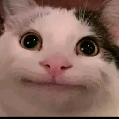 AnhTunN88354411's profile picture. 