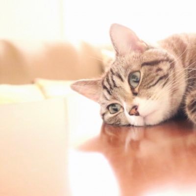 nao89792634's profile picture. 