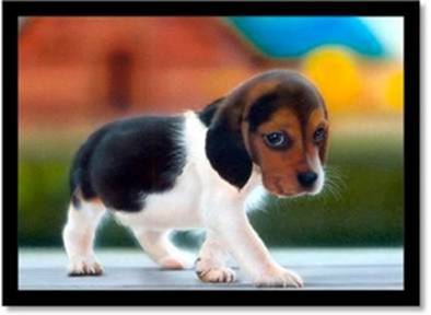 Funkdoc1978's profile picture. 