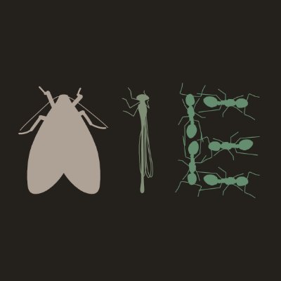 An accessible new seminar series highlighting entomological research, with a focus on museum collections. Sponsored by the Entomological Collections Network.
