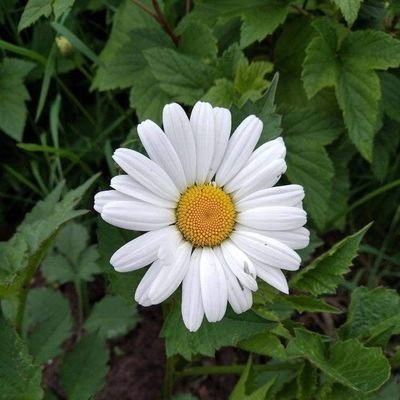 1faa48bea0eb43e's profile picture. 