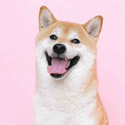 In Dogecoin We Trust! ~ Donations are appreciated!