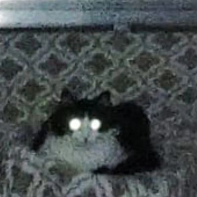 san9hell Profile Picture