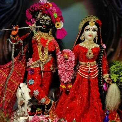 RaniShing7's profile picture. Listening music