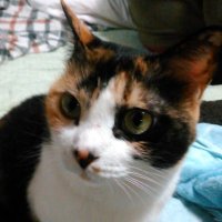 TOMyum (@to_myum) Twitter profile photo