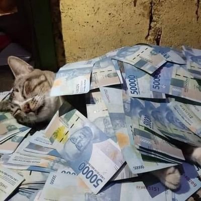 Pull_Mo's profile picture. Belajar Ikhlas