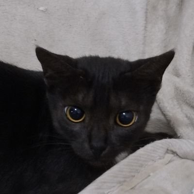 brubsdur's profile picture. uma h eu tinha q voltar ne








💜BELIEBER💜