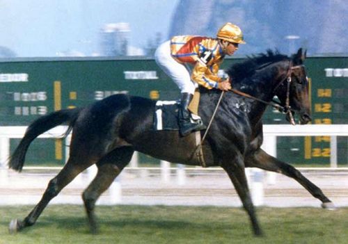 baronius80's profile picture. 