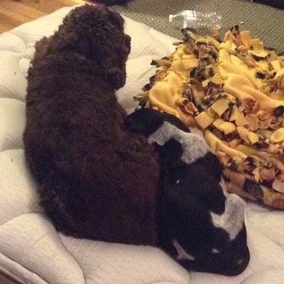 forhisglory7103's profile picture. 