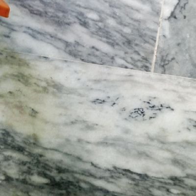 DreamGi17328372's profile picture. nothing