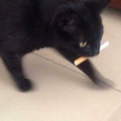 fympacomeah's profile picture. dun scare |
fuck around and out find