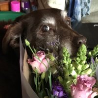 I, Claudia (@b7xt2mw4pz) 's Twitter Profile Photo I, Claudia (@b7xt2mw4pz) 's Twitter Profile Photo