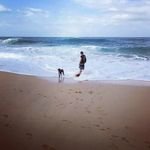 thomsacco's profile picture. Software developer