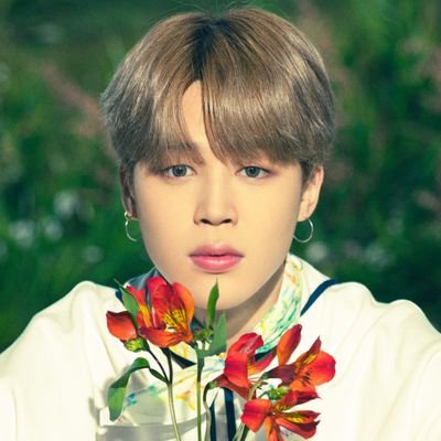 all for bts