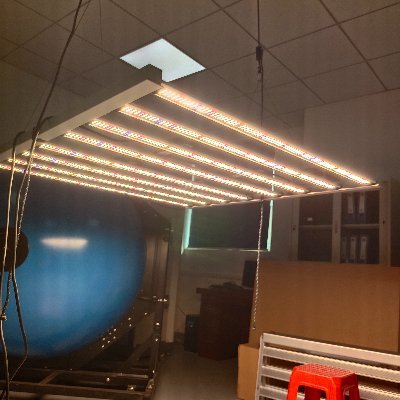 bonnie521022's profile picture. Funny and happy girl