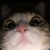 Burak (@gtfoburak) Twitter profile photo Burak (@gtfoburak) Twitter profile photo