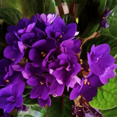 restevec's profile picture. 