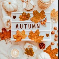 AuntumnsDreams (@autunmsdreams) 's Twitter Profile Photo AuntumnsDreams (@autunmsdreams) 's Twitter Profile Photo
