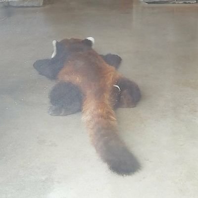 meeco6974's profile picture. APEXの競技シーンが好きな人。
　　　　　　　　　　　　　　　　　　　　　　　　　　　　　　　　　　　　　　
CR/RIGN/PKOL/E36🐹🥷☠️☀️🐱🦙😈🐻🐶🥶🦊🤖🦊