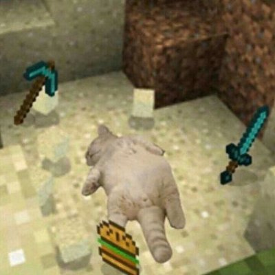 Reiswafl_'s profile picture. Leonie
   19