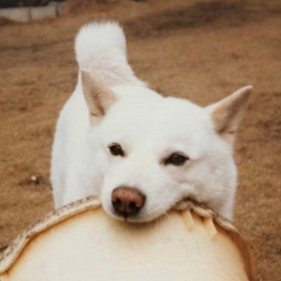 神奈川県在住。趣味はサッカー観戦、FC東京のサポーターです。💙❤️